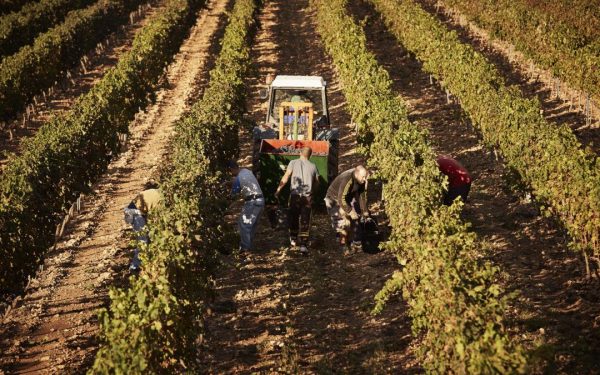 Spania legalizează 500.000 de imigranți: Cine se califică să primească acte