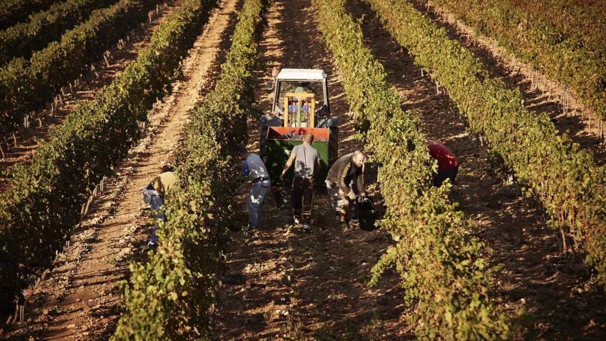 Spania legalizează 500.000 de imigranți: Cine se califică să primească acte