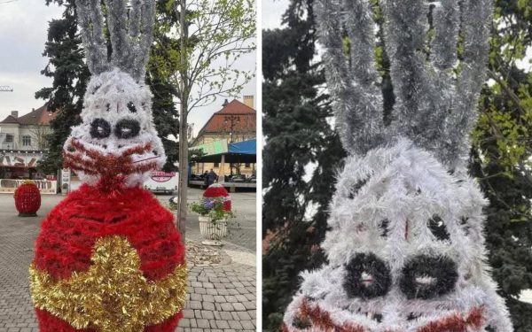 Iepurașii horror au scos Baia Mare în stradă: „Te doare mintea”, spun băimărenii