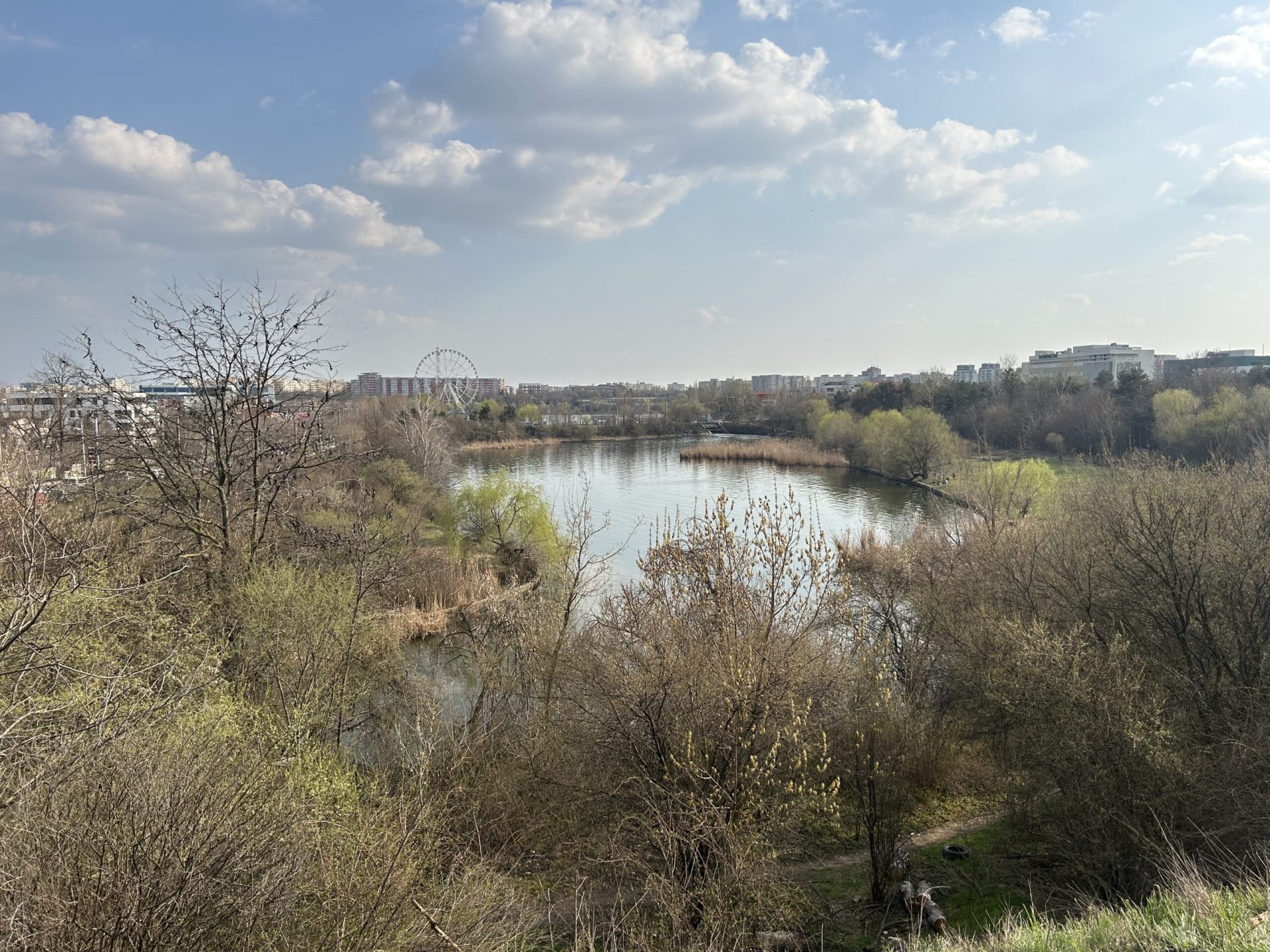 Pajiștea Petricani, recent declarată arie naturală protejată în iulie 2022, suferă deja din cauza dezvoltării imobiliare și a indiferenței față de mediul înconjurător