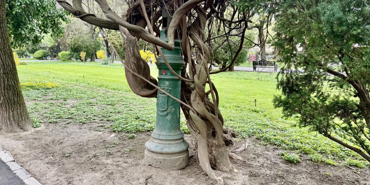 Cișmigiu: Mistere la lumina stâlpilor! Ce ascund vopselele îmbătrânite