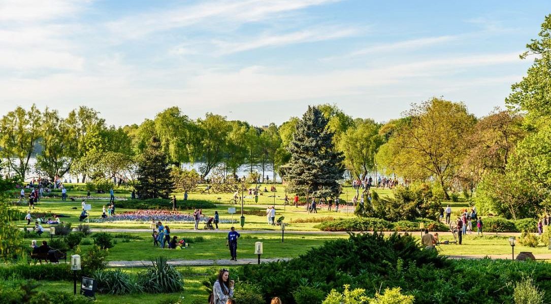 Festivaluri de film: O’Clock, Alpin și Hanami, weekend plin în București