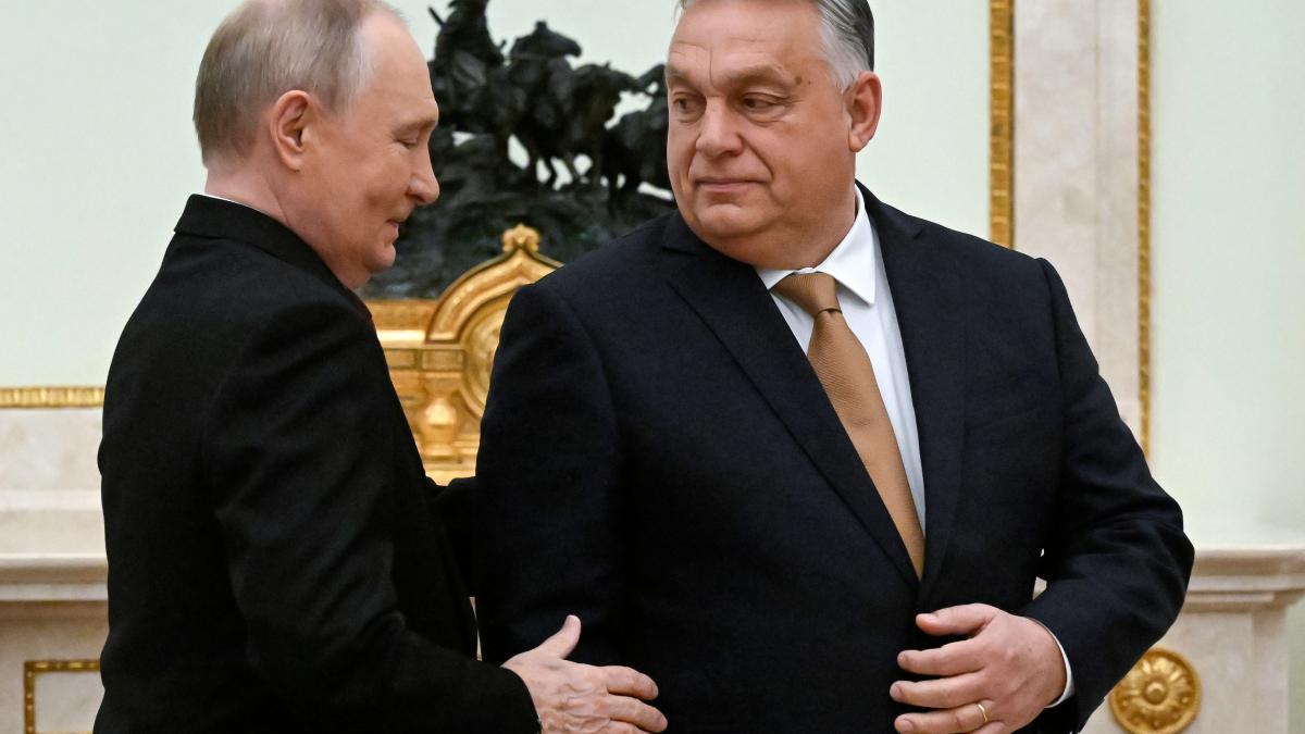 Kremlin: Orban, pe cale să piardă alegerile. Moscova: „Am ajutat, dar n-au reușit!“