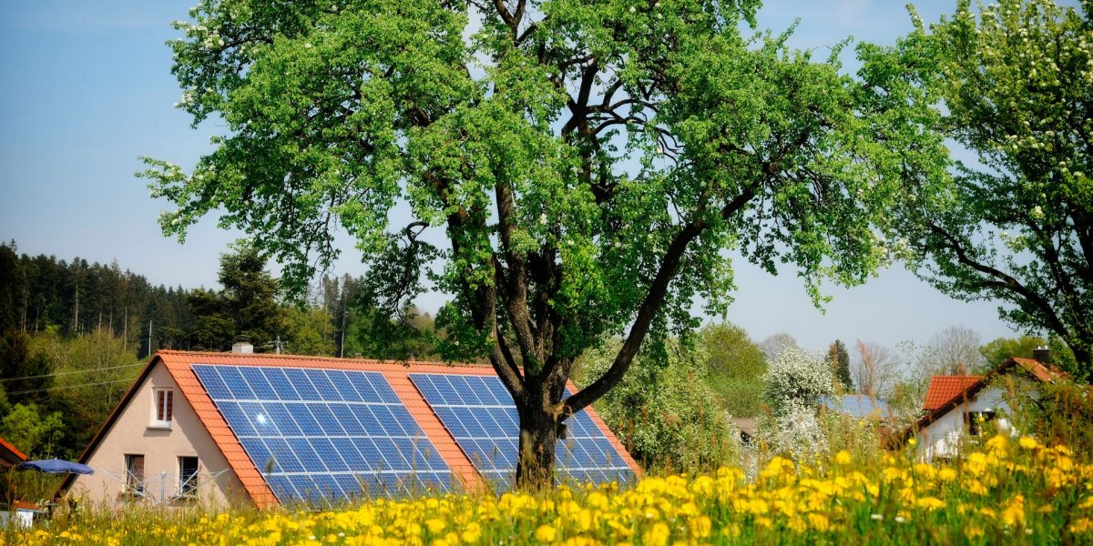 Lemnul „inteligent” produce energie solară și… noaptea!