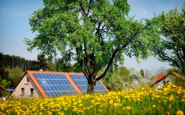 Lemnul „inteligent” produce energie solară și… noaptea!