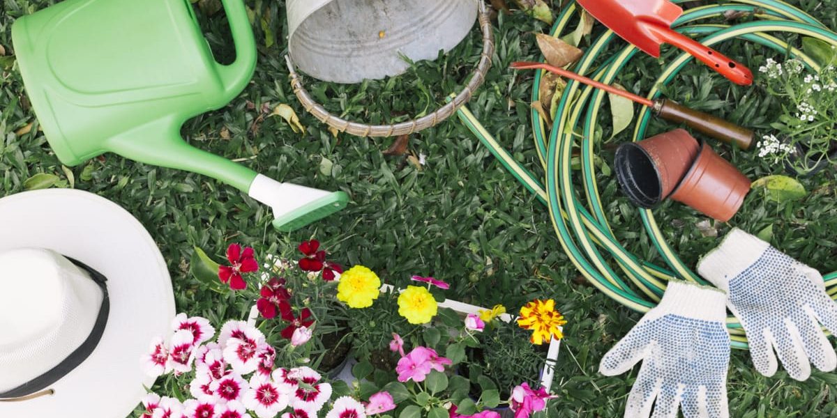 Unelte de grădină: Cum transformi curtea într-o oază de vis