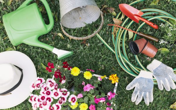 Unelte de grădină: Cum transformi curtea într-o oază de vis