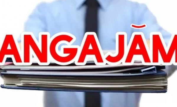 Angajări masive în România: Firmele se luptă pe șoferi, curieri și necalificați