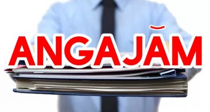 Angajări masive în România: Firmele se luptă pe șoferi, curieri și necalificați