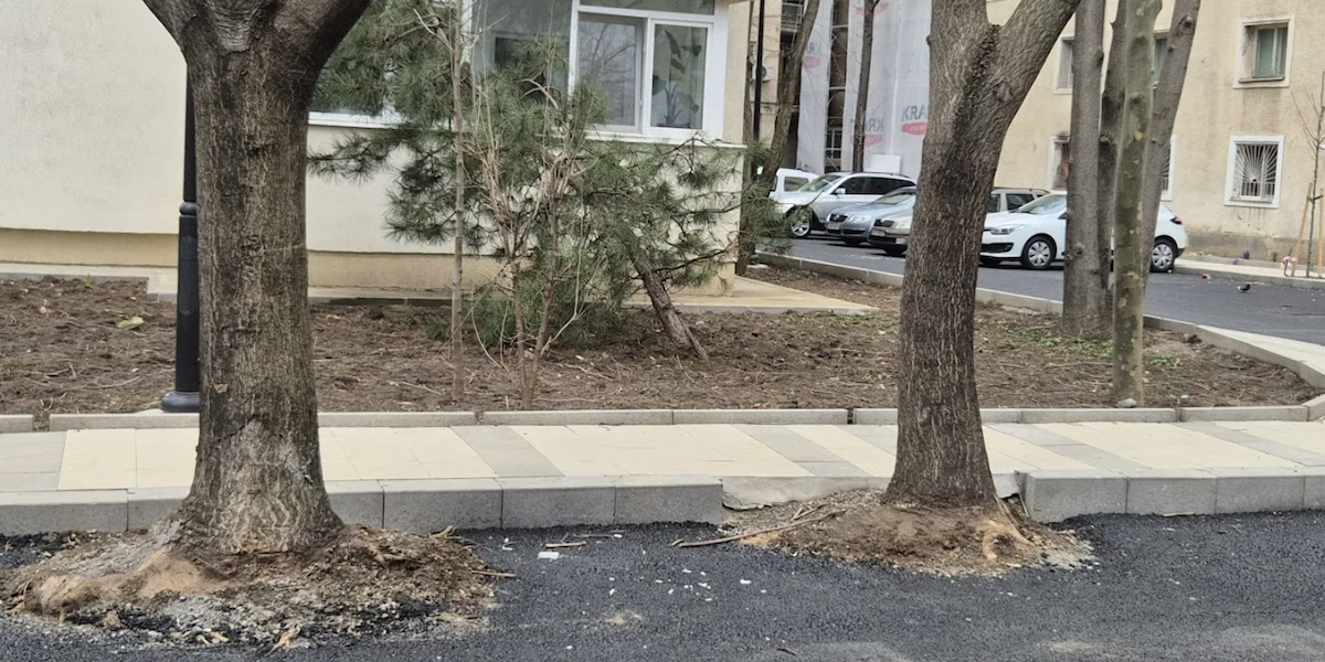 Hopincă, amendat după ce a transformat spațiul verde în PARCARE