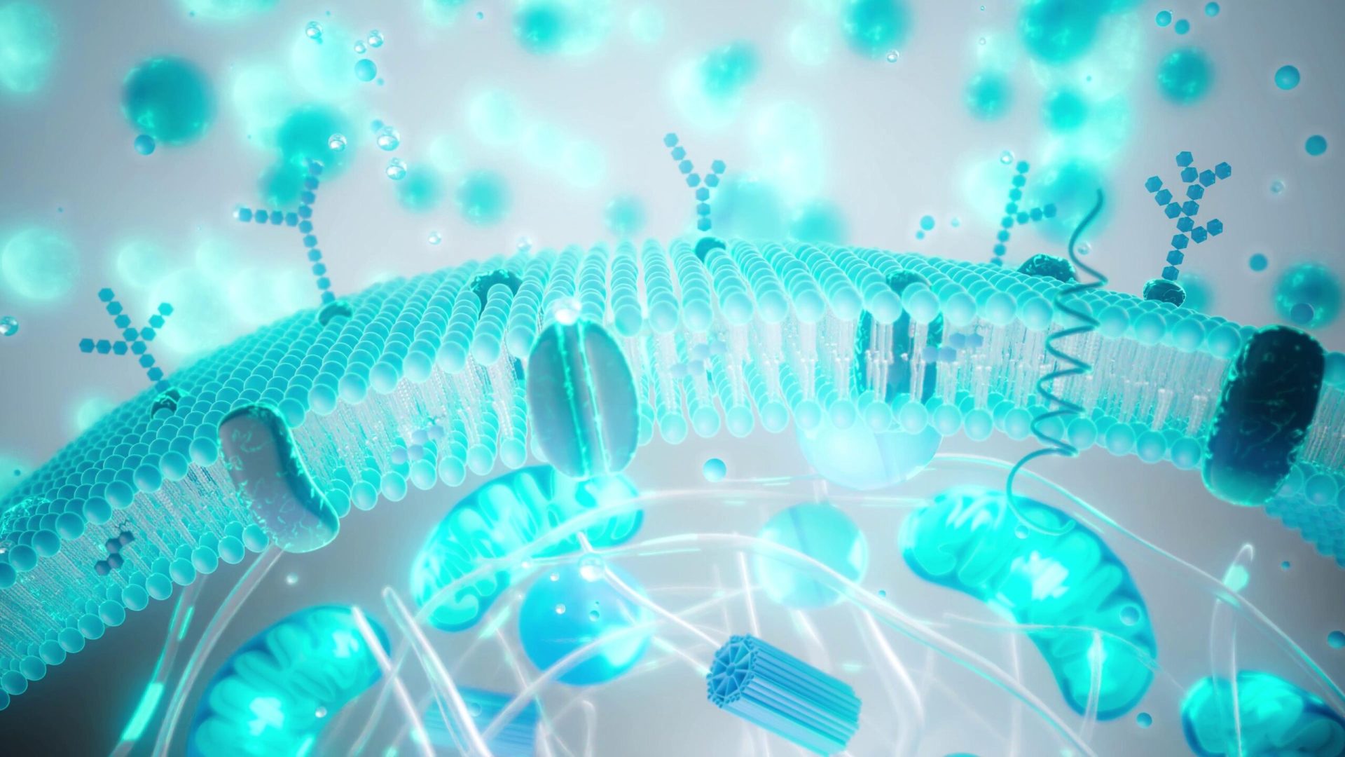 Industria progresului anti-îmbătrânire promite să prelungească viețile și să îmbunătățească sănătatea, dar majoritatea serviciilor de pe piață nu sunt încă susținute de dovezi științifice solide