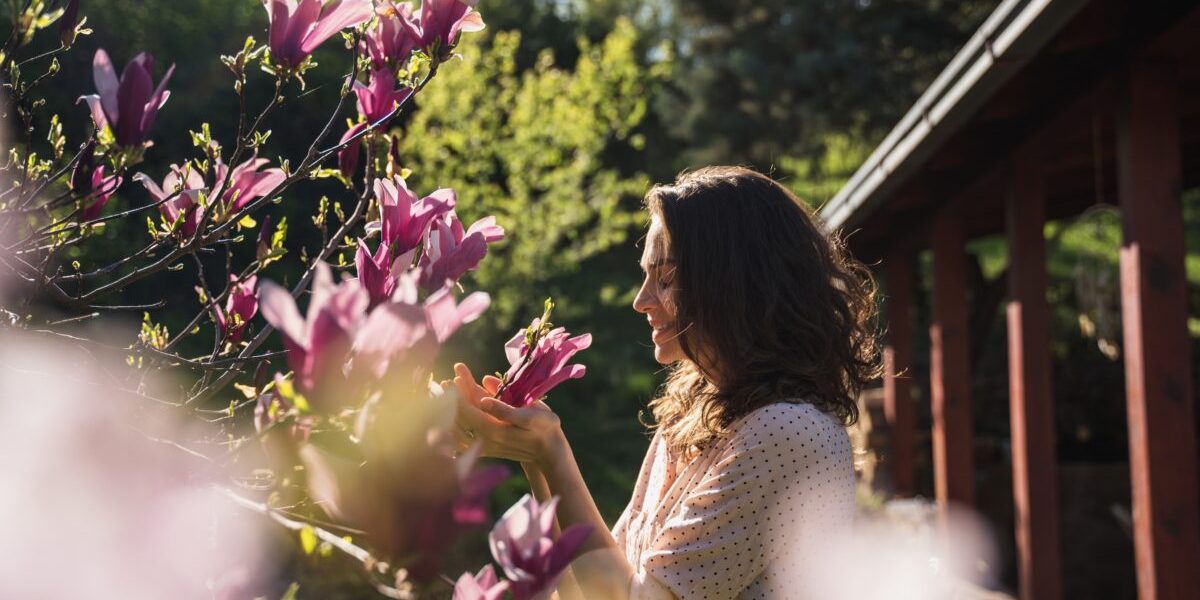 Copacul magic: Plantează-l în aprilie și-ți schimbi viața radical