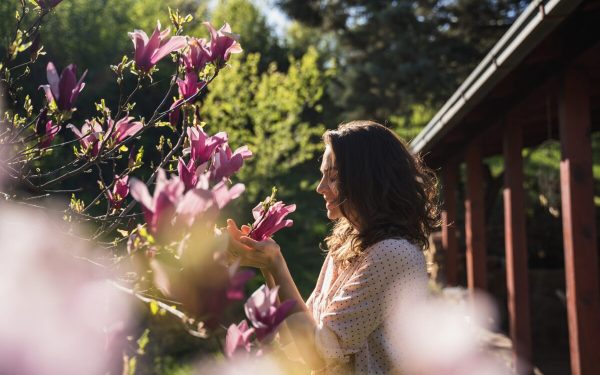 Copacul magic: Plantează-l în aprilie și-ți schimbi viața radical