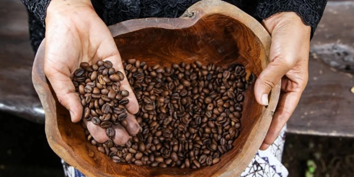 Gigantul indian de cafea intră în România: Prima bază în Europa