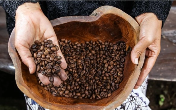 Gigantul indian de cafea intră în România: Prima bază în Europa