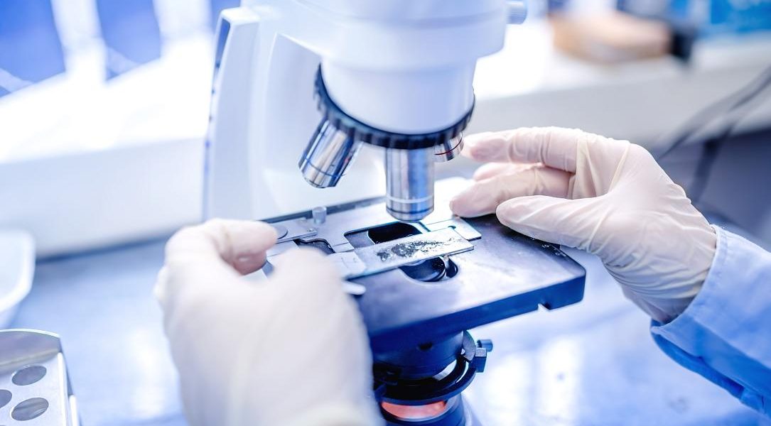 România, în rețeaua europeană ELIXIR: Cercetare fără frontiere