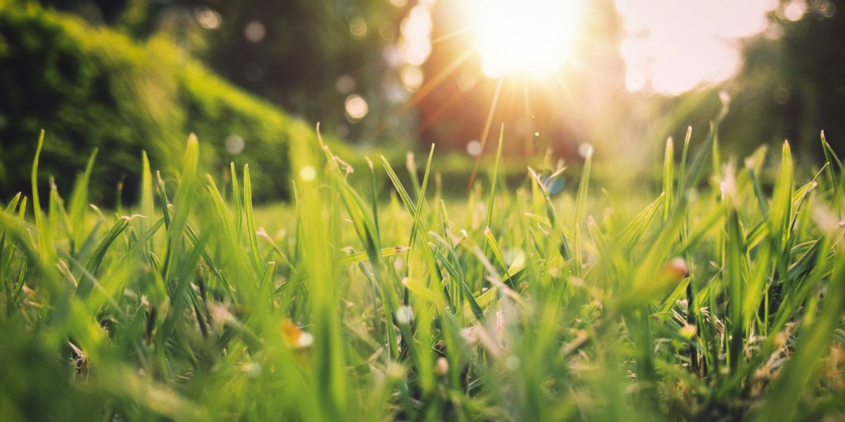 Vremea se încălzește, dar România se pregătește de ploi