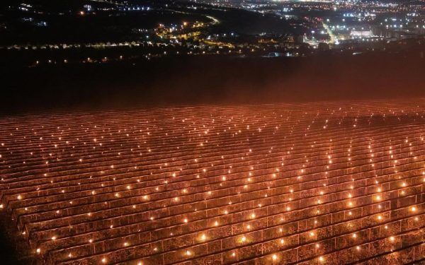 Aruncat la foc 40.000 de euro! O fermă din Cluj salvează cireșii cu lumânări