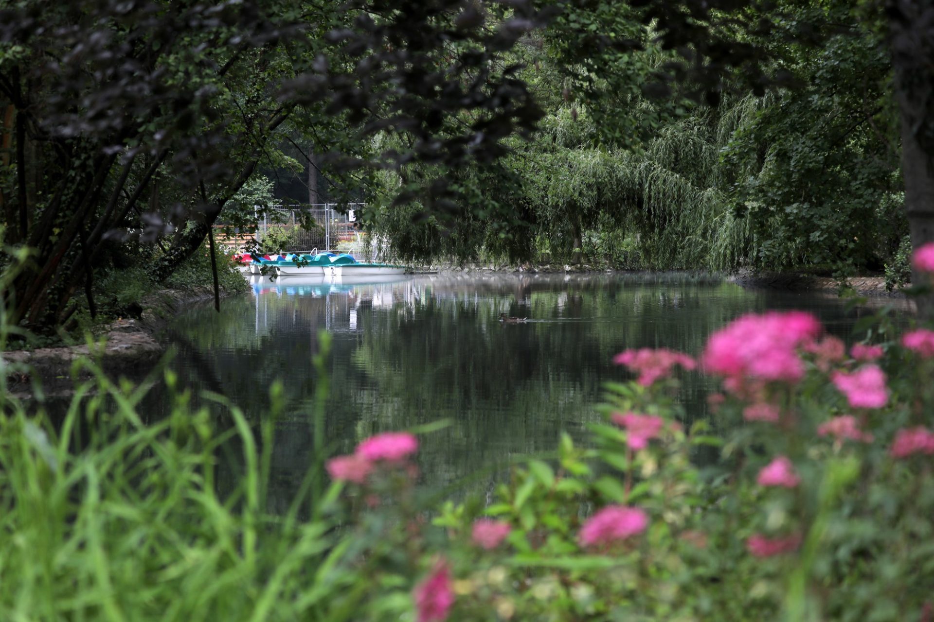Vreme instabilă cu vânt puternic și temperaturi în creștere Vremea de joi va aduce vânturi puternice din direcția nord-vest și temperaturi care vor varia între 4 grade Celsius dimineața și aproximativ 16 grade Celsius după-amiaza