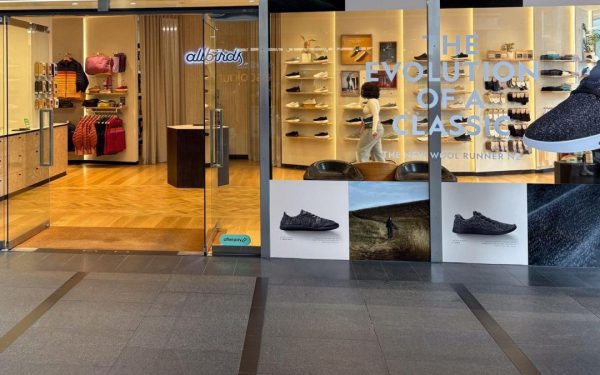 Ai renunțat la pantofi, ai explodat la bursă: +580% pentru AI!