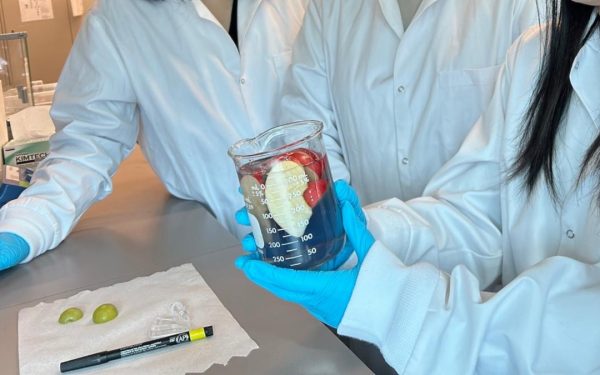 Nouă soluție naturală spală fructele de pesticide și le menține proaspete!