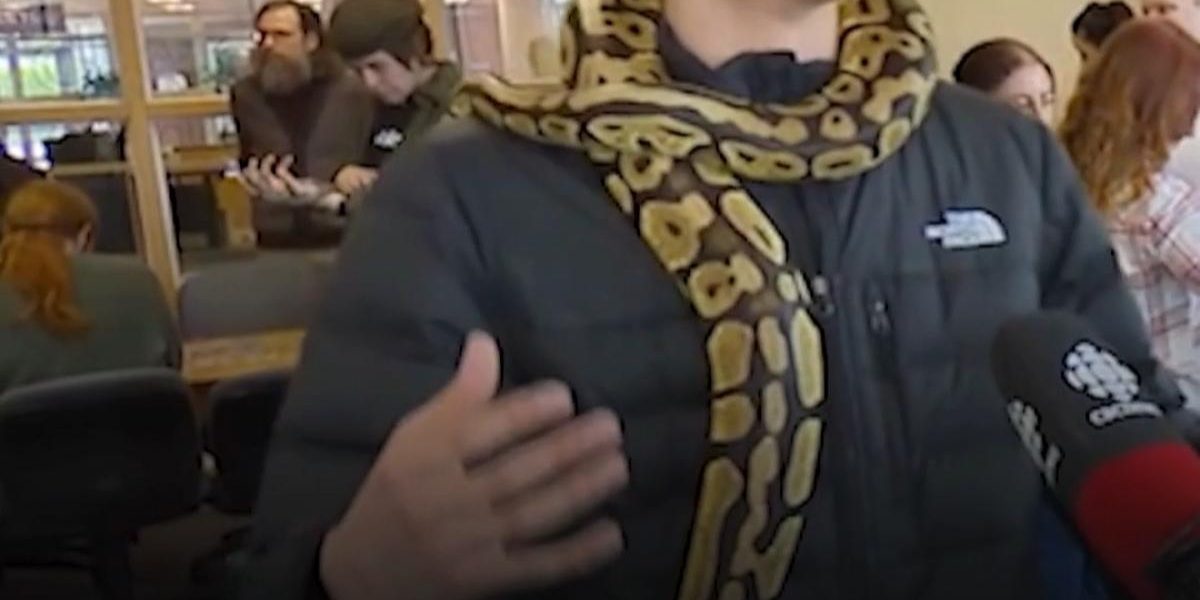 Universitatea din Canada: Terapie cu șerpi anti-stres pentru studenți