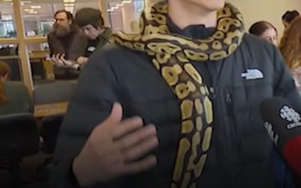 Universitatea din Canada: Terapie cu șerpi anti-stres pentru studenți