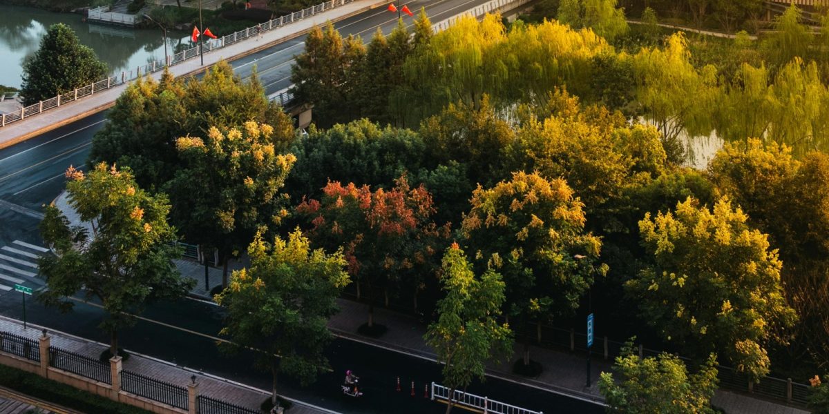 Păduri urbane de 3,5 milioane lei la Galați, cu fonduri PNRR