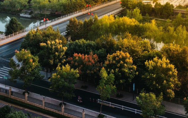 Păduri urbane de 3,5 milioane lei la Galați, cu fonduri PNRR