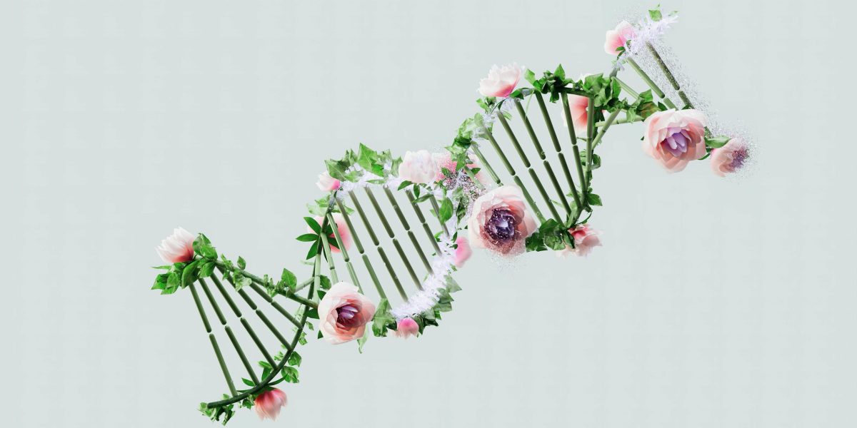 Rude celebre: Brad Pitt și Barack Obama, legături de sânge surprinzătoare