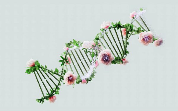 Rude celebre: Brad Pitt și Barack Obama, legături de sânge surprinzătoare