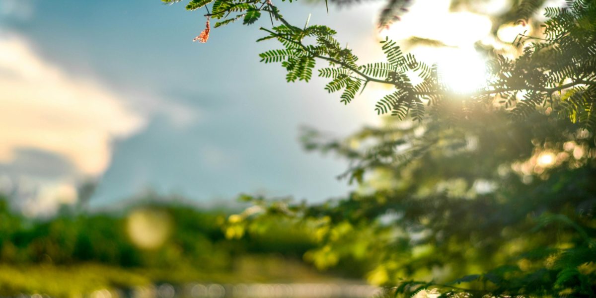 Primele raze, pericol pentru piele după iarnă: Ce spun medicii