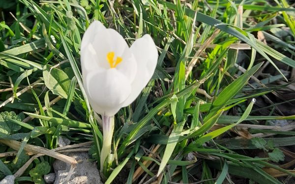 Vremea de Paște: Temperaturi în creștere, dar ploi și ninsori la munte