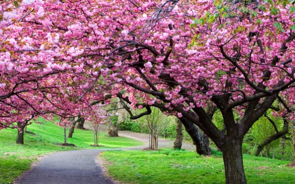 Vremea se schimbă: ANM anunță patru săptămâni cu temperaturi ridicate și ploi puține