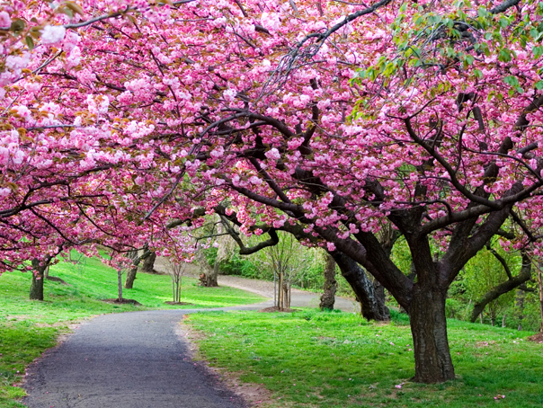 Vremea se schimbă: ANM anunță patru săptămâni cu temperaturi ridicate și ploi puține