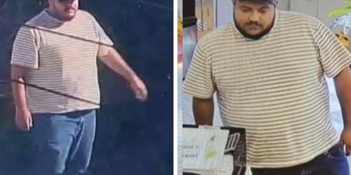 Românul Ion Miclescu, eliberat pe cauțiune de 250.000 dolari. Recompensă pentru găsirea lui