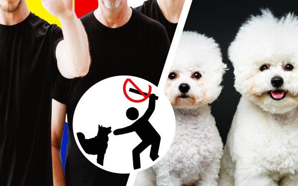 Grupare din Anglia, acuzată de schingiuirea cățeilor pentru asigurări