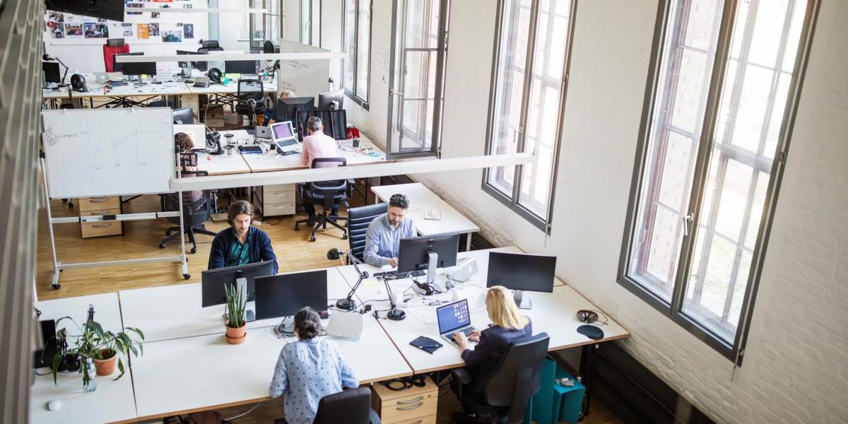 Românii, aproape de o nouă zi liberă: Liberalii propun lege în Parlament