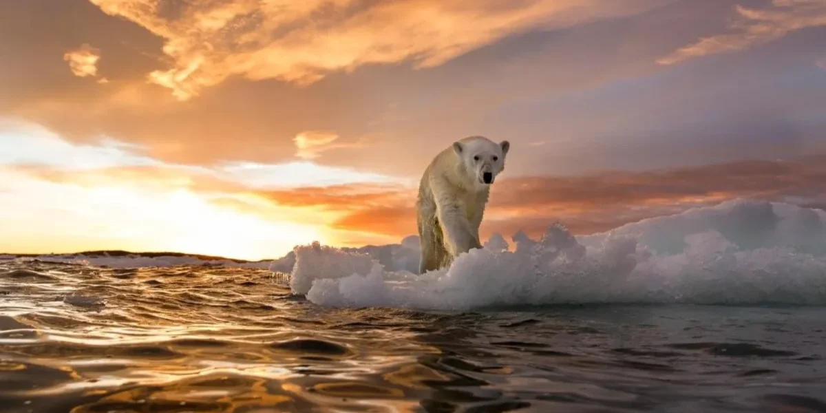 Clima în prag de colaps: Curenții oceanici, pe cale să cedeze. Europa, în pericol