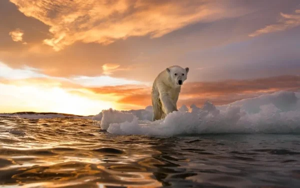 Clima în prag de colaps: Curenții oceanici, pe cale să cedeze. Europa, în pericol