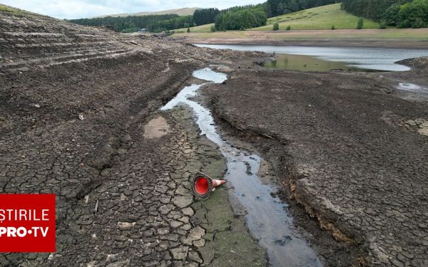 Căldură extremă: Planeta, în pericol. Umanitatea, în fața unei noi crize