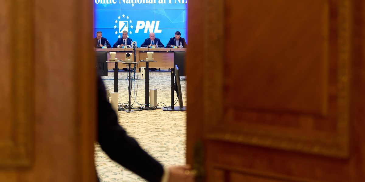 PNL copiază PSD: Decizie crucială, înainte de votul social-democrat de luni