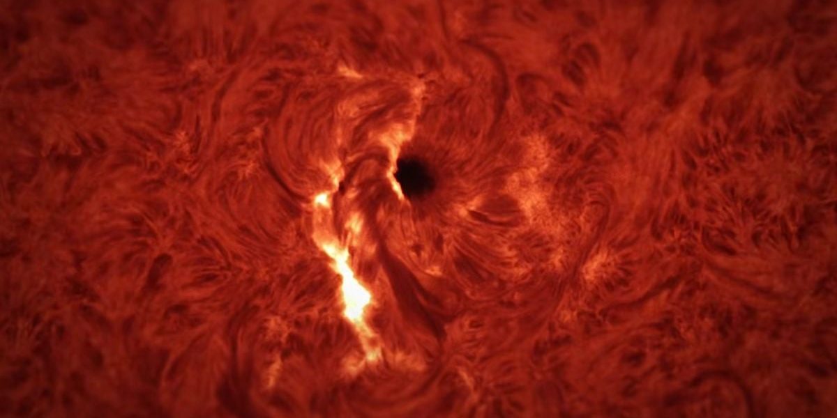Sunetul SPECTRAL al unei erupții solare: un „horror” cosmic