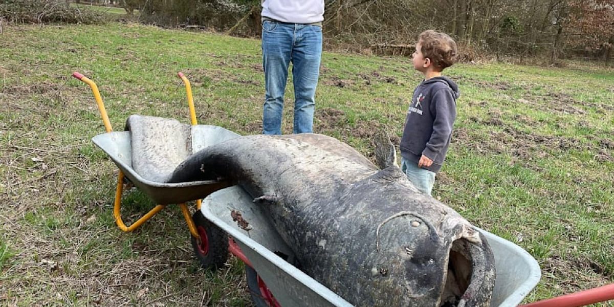 Somn URIAȘ în Germania: Legenda VECHE, CONFIRMATĂ!