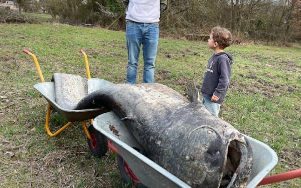 Somn URIAȘ în Germania: Legenda VECHE, CONFIRMATĂ!