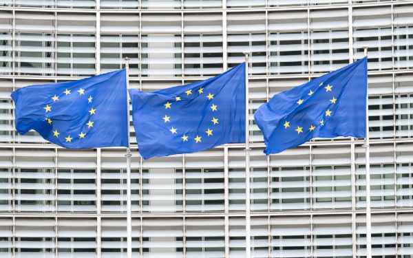 Aplicația UE: Copiii, protejați de site-uri interzise. Gata din punct de vedere tehnic!