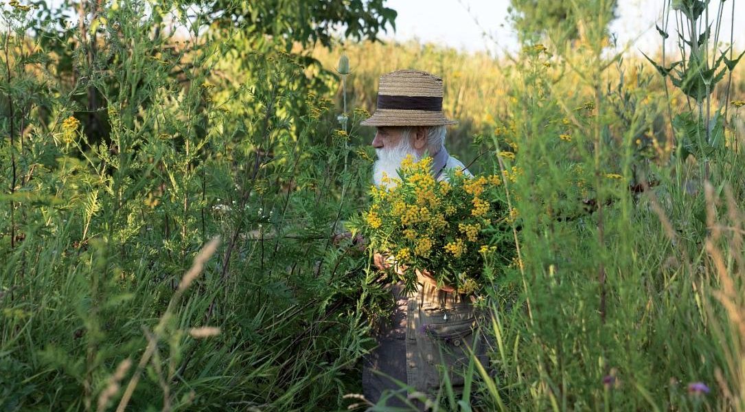 Câlția revine la Sibiu: expoziția explorează teme recurente