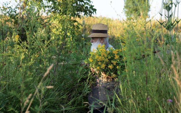 Câlția revine la Sibiu: expoziția explorează teme recurente