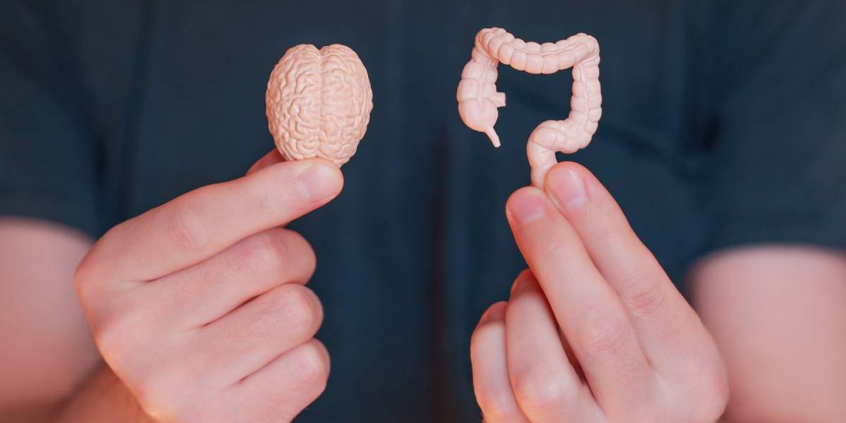 Stresul Sărbătorilor, Dușmanul Digestiei: Cum Ne Afectează Apetitul