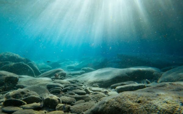 Oceanul planetar, în prag de nou record termic în martie 2026